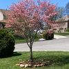 jamesblevins289